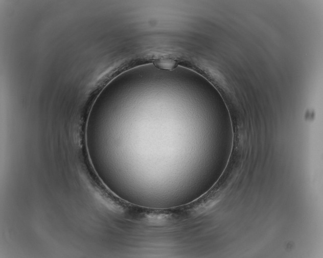 X0000092000450200709201512