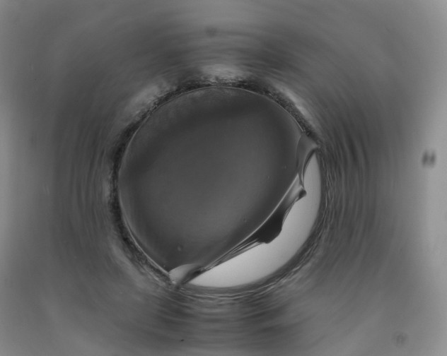 X0000092000451200709201512