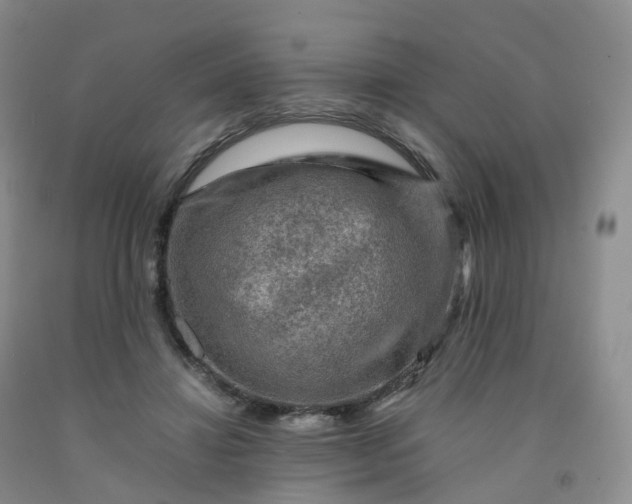 X0000092000452200709201512