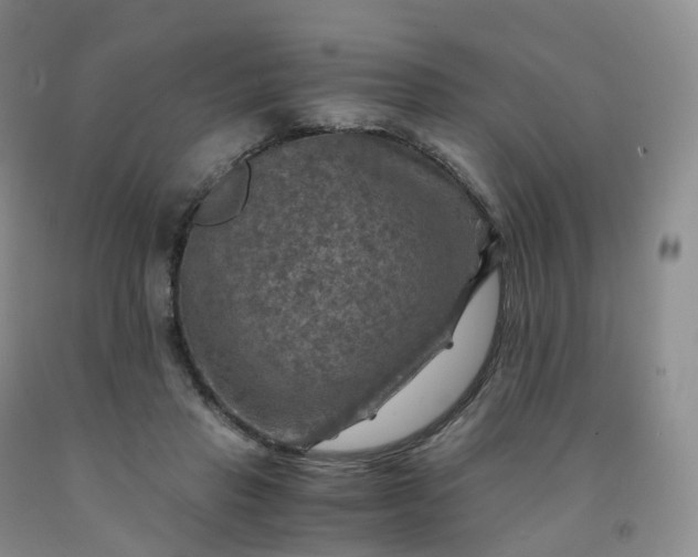 X0000092000453200709201512