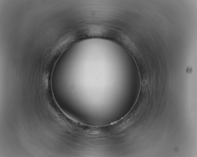 X0000092000454200709201513