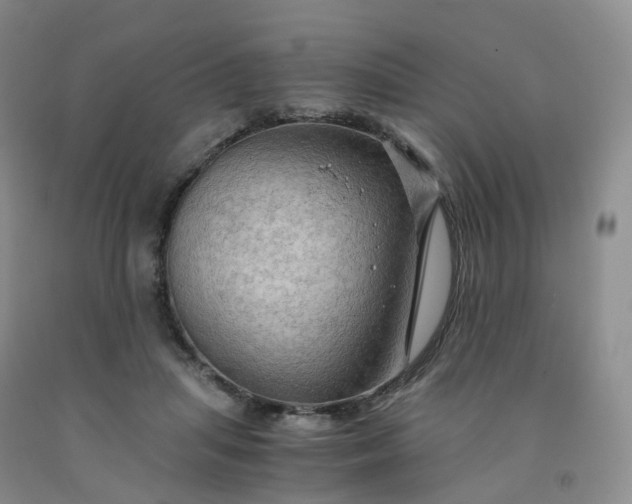 X0000092000455200709201513