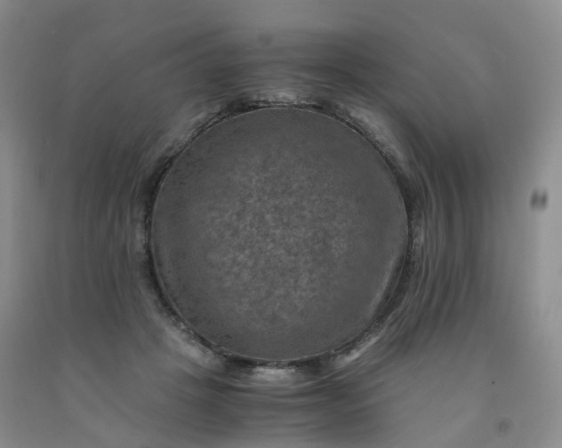 X0000092000457200709201513