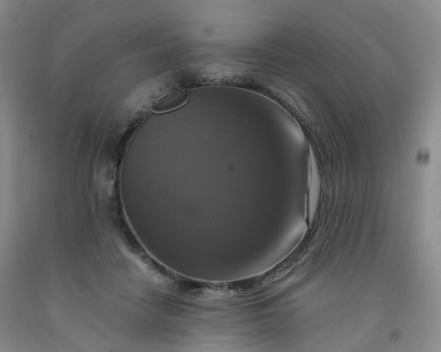 X0000092000458200709201513