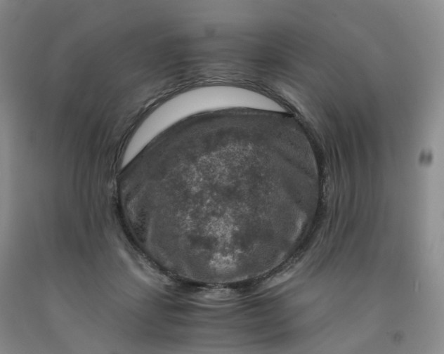 X0000092000459200709201513