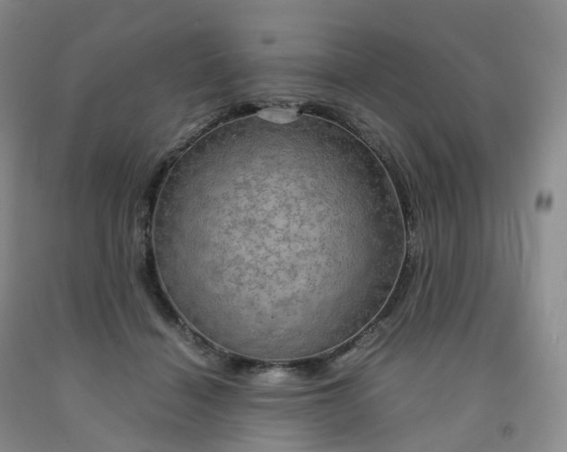 X0000092000460200709201513