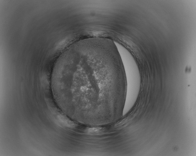 X0000092000461200709201513