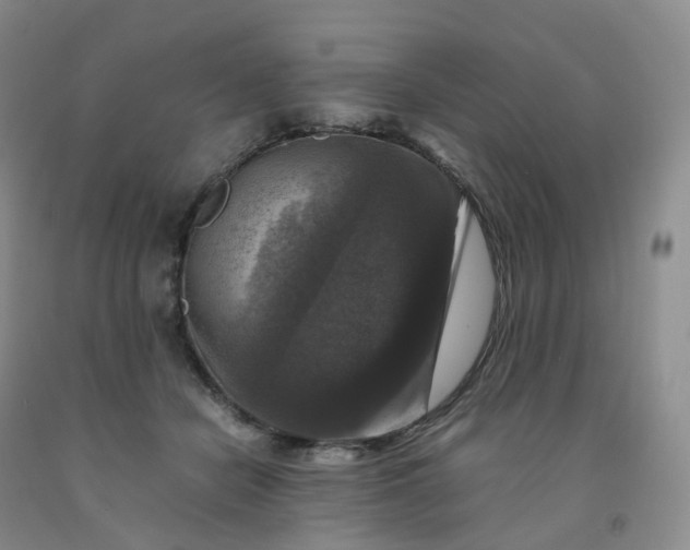 X0000092000462200709201513