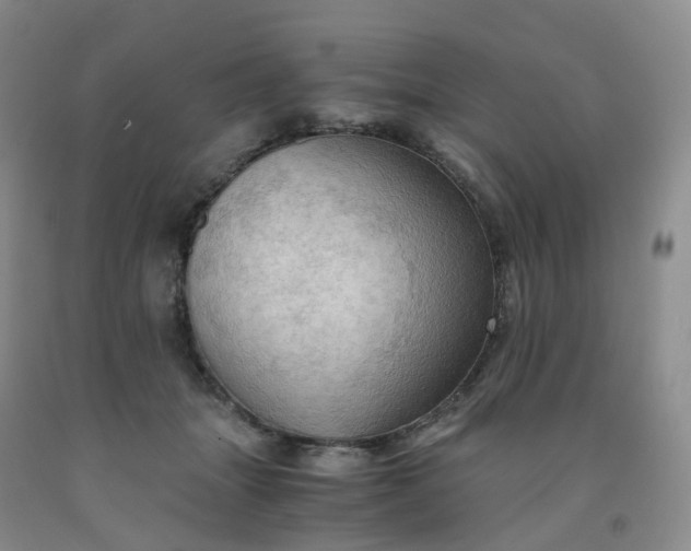 X0000092000463200709201513