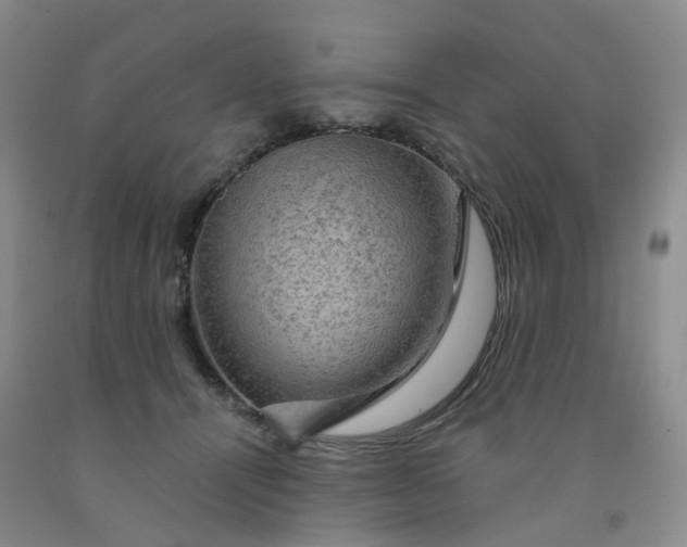 X0000092000464200709201513