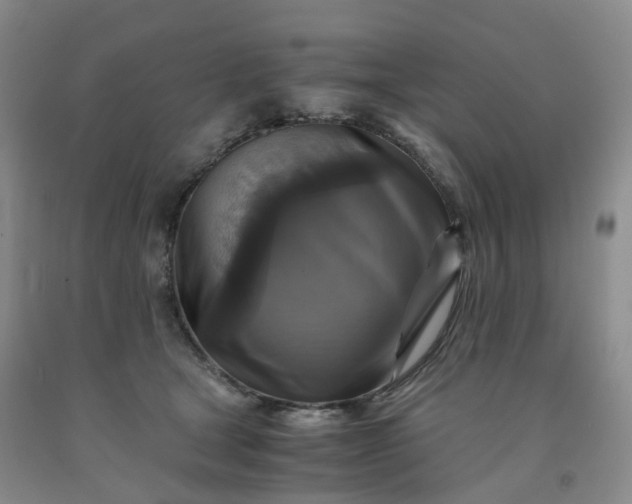 X0000092000465200709201513