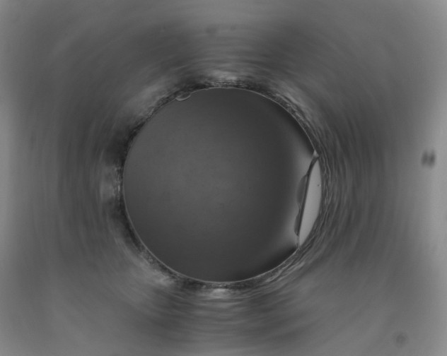 X0000092000467200709201513