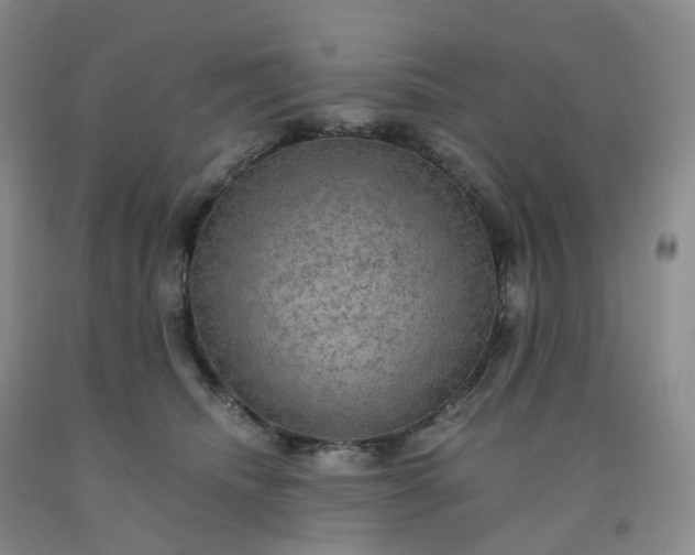 X0000092000468200709201513