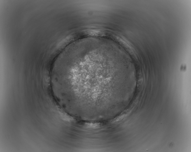 X0000092000469200709201513