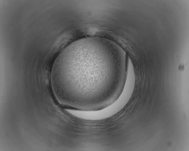 X0000092000470200709201513