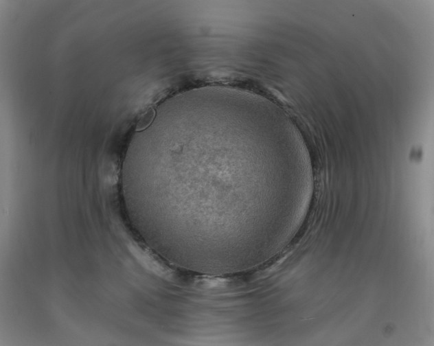 X0000092000472200709201513