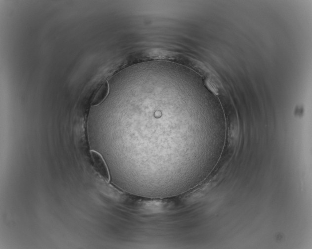 X0000092000473200709201513