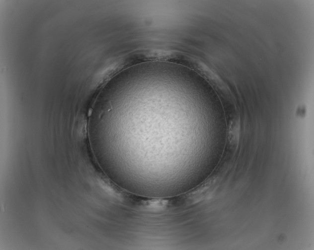 X0000092000474200709201513