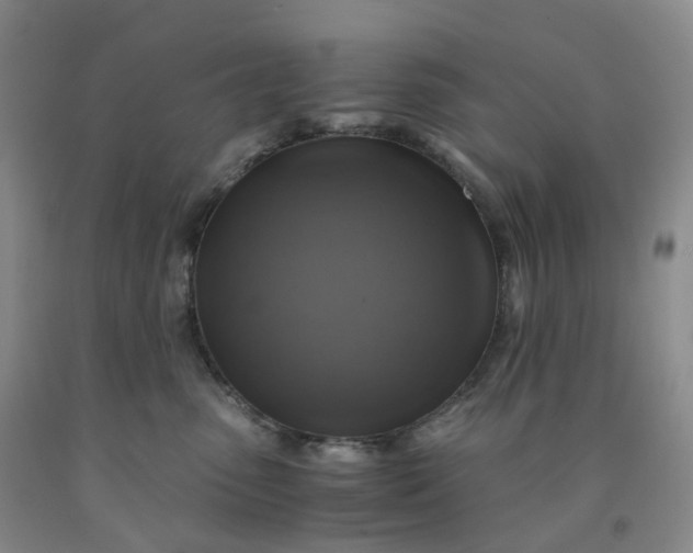 X0000092000475200709201513