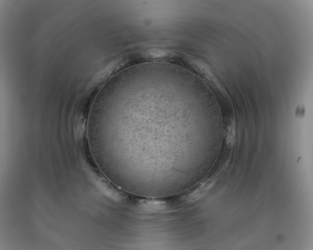 X0000092000476200709201513