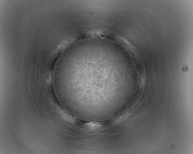 X0000092000477200709201513