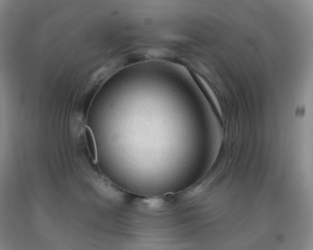 X0000092000478200709201513