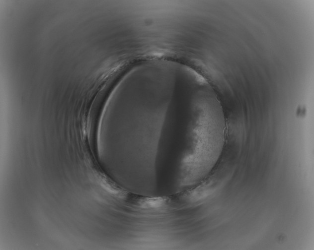 X0000092000479200709201513