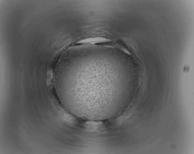 X0000092000480200709201513