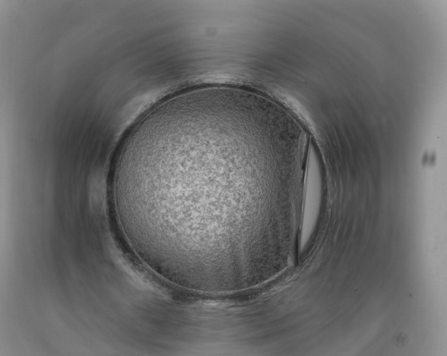 X0000092000482200709201512