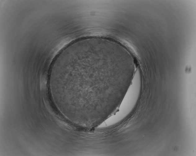 X0000092000483200709201512