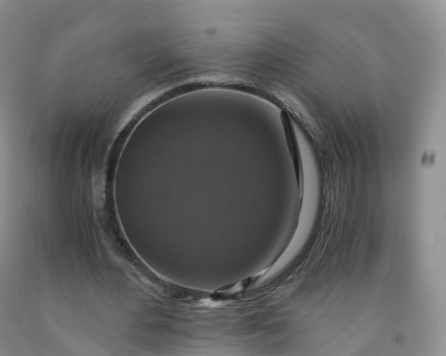 X0000092000484200709201512