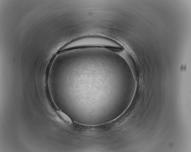 X0000092000485200709201512