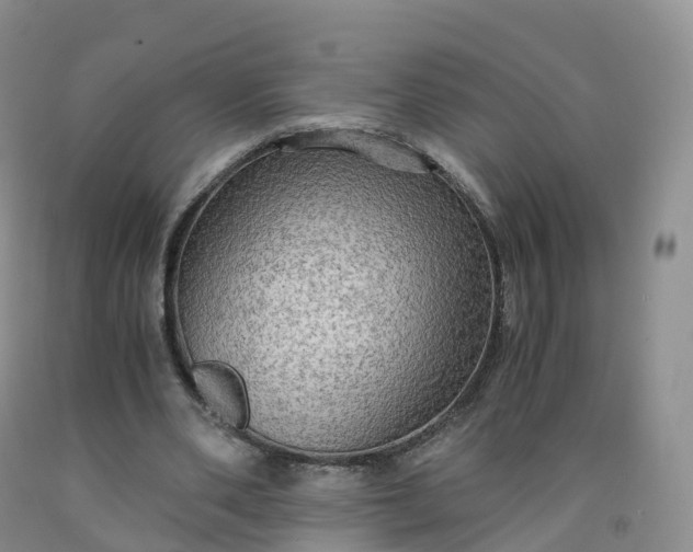 X0000092000486200709201512