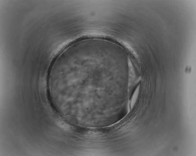 X0000092000487200709201512