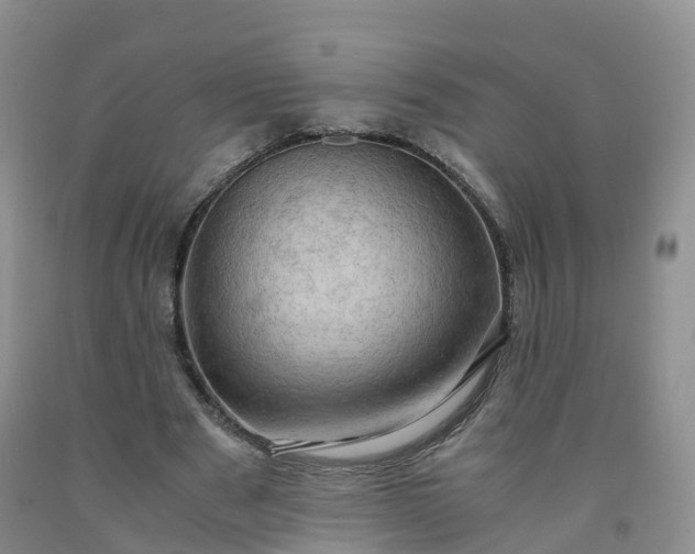 X0000092000489200709201512