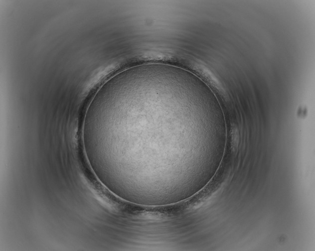 X0000092000490200709201512