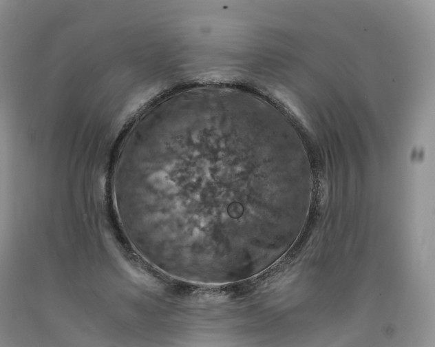 X0000092000491200709201512