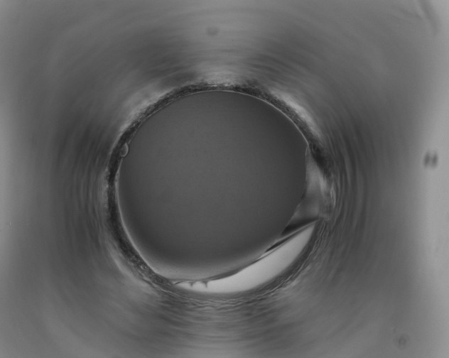 X0000092000492200709201512