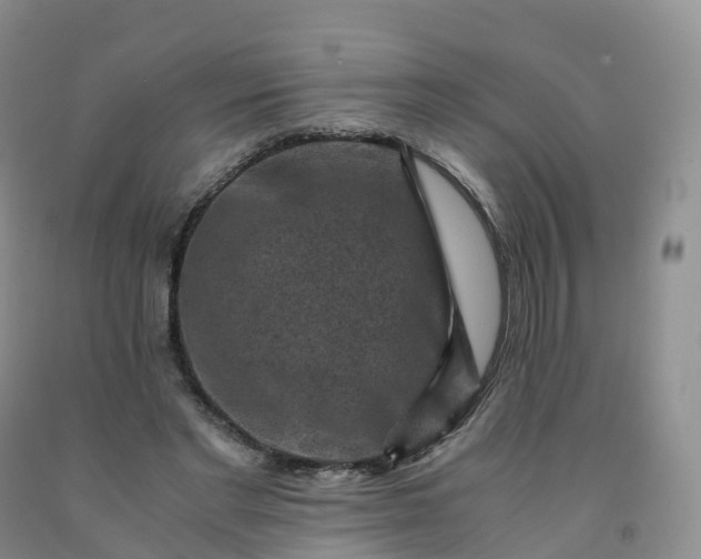 X0000092000493200709201512