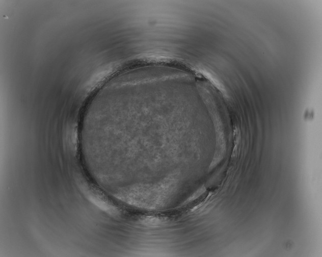 X0000092000494200709201512