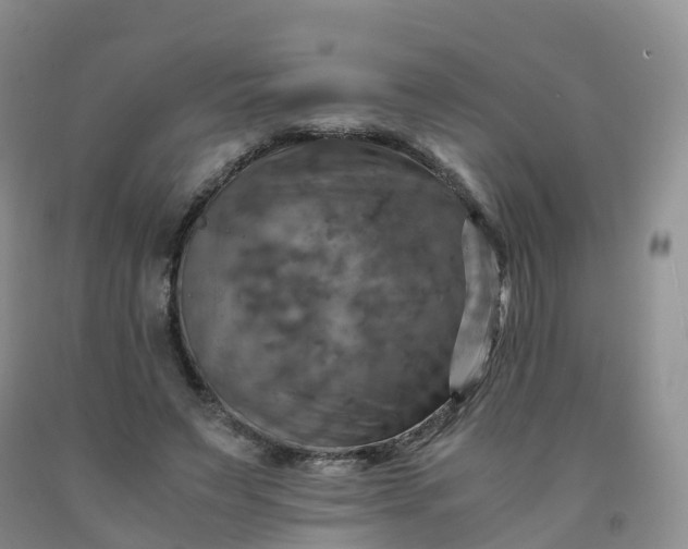 X0000092000495200709201512