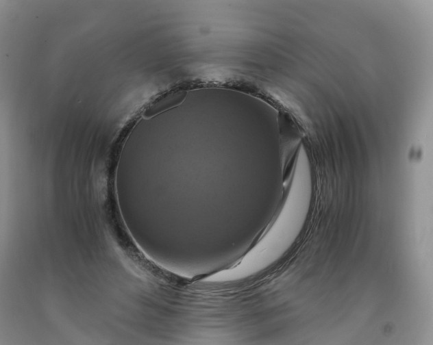 X0000092000496200709201512