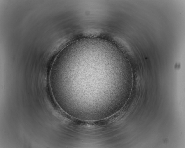 X0000092000498200709201512