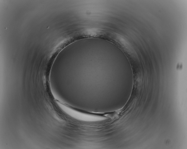 X0000092000500200709201512