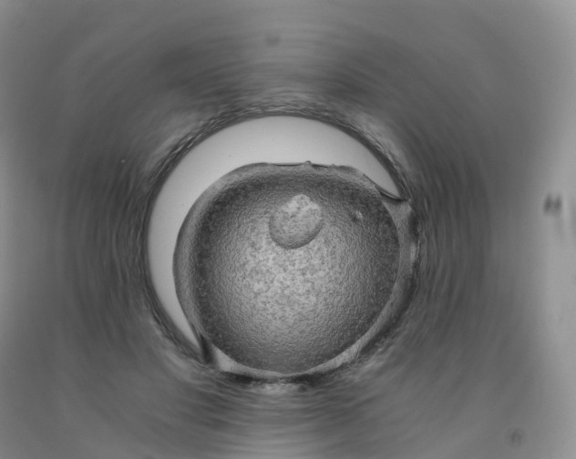 X0000092000501200709201512