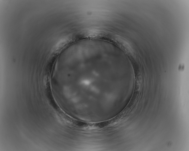 X0000092000503200709201512