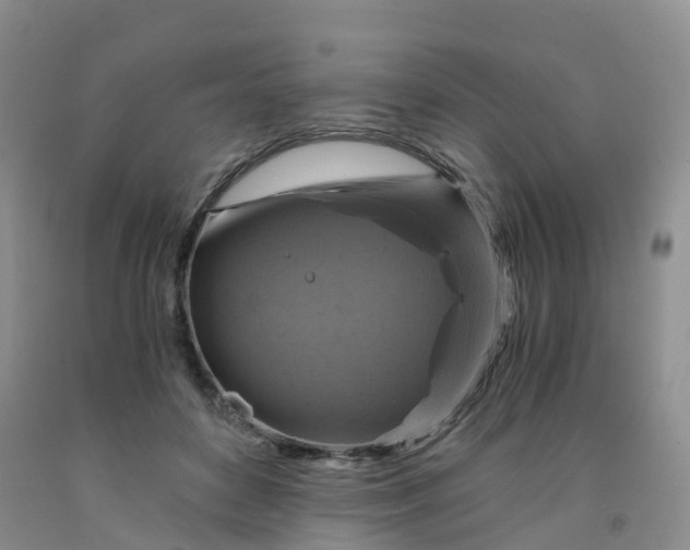 X0000092000504200709201512