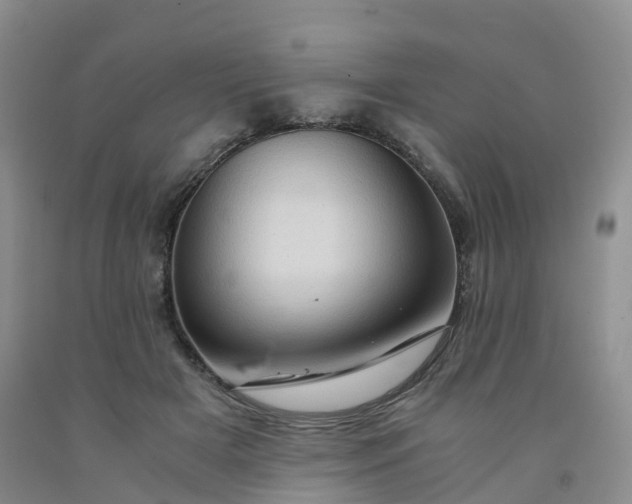 X0000092000505200709201512