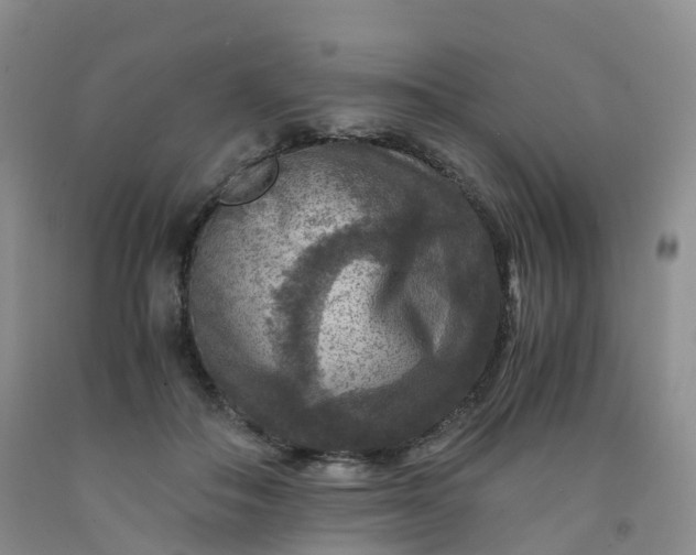 X0000092000506200709201512