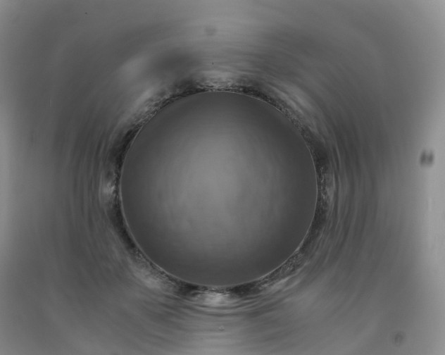 X0000092000507200709201512